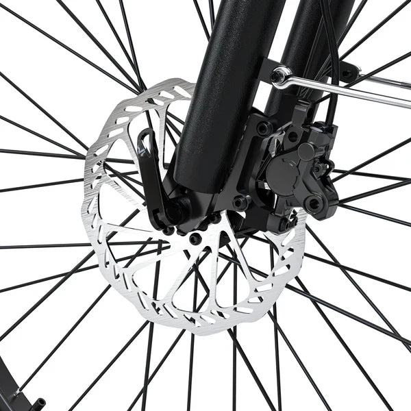 Hiboy EX9 48V/11.6Ah 1000W Electric Bike