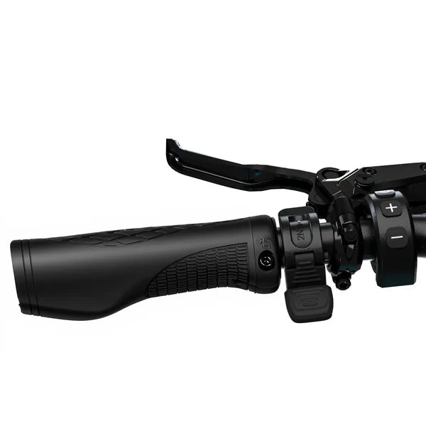 Hiboy EX9 48V/11.6Ah 1000W Electric Bike