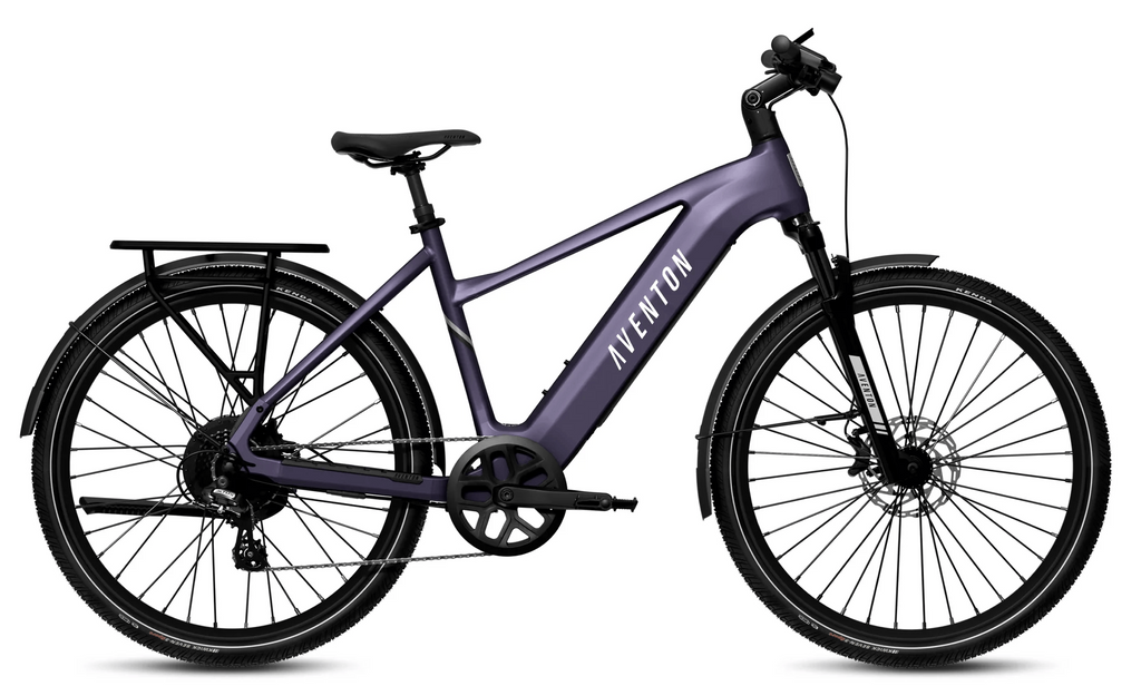 Sparkwheels Level 3 Electric Bike