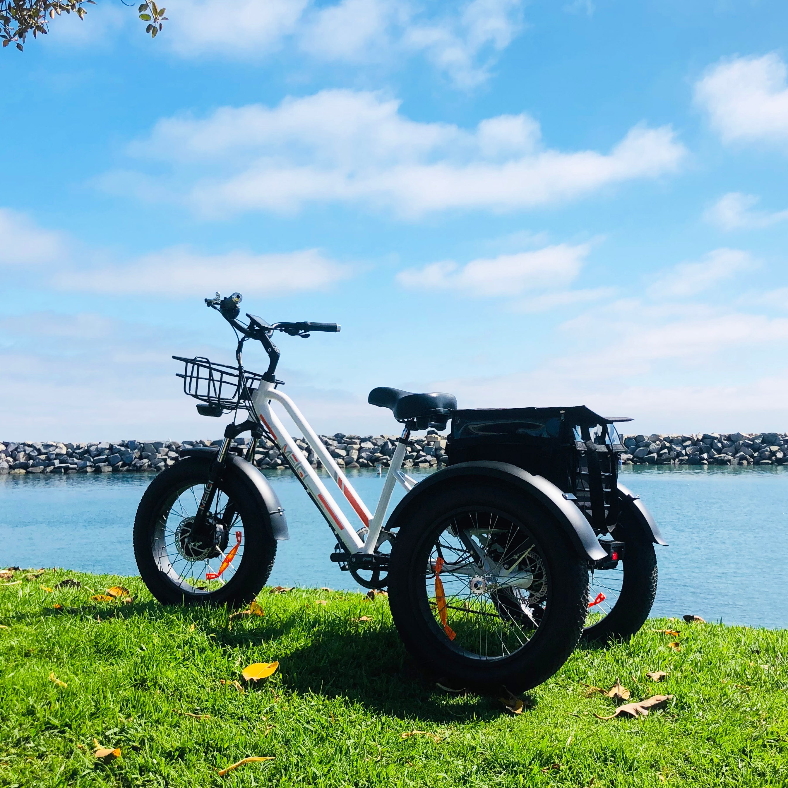 DWMEIGI Zeus MG1703 48V/18.2Ah 750W Electric Trike