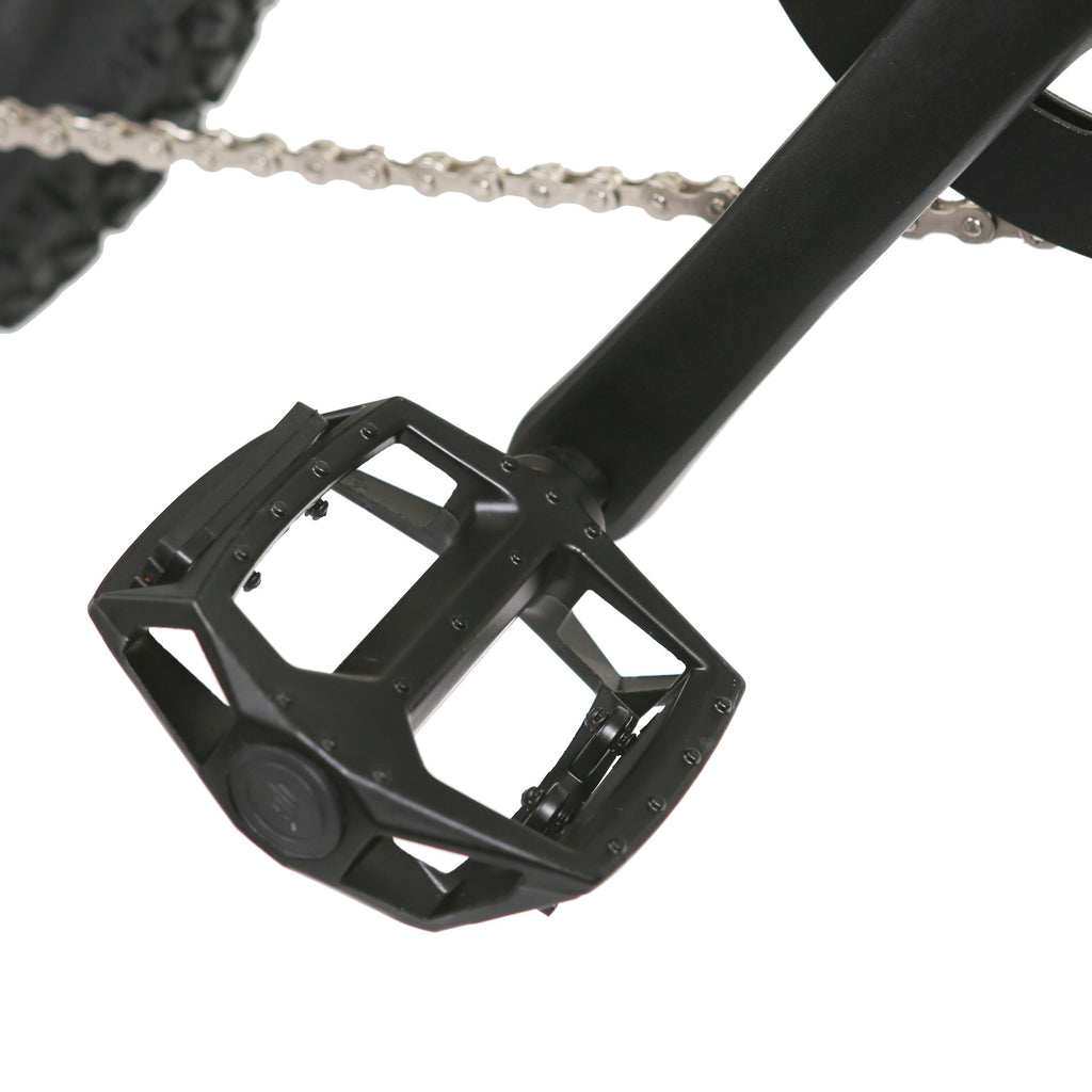 NAKTO Santa Monica 48V/10Ah 750W Fat Tire Electric Bike