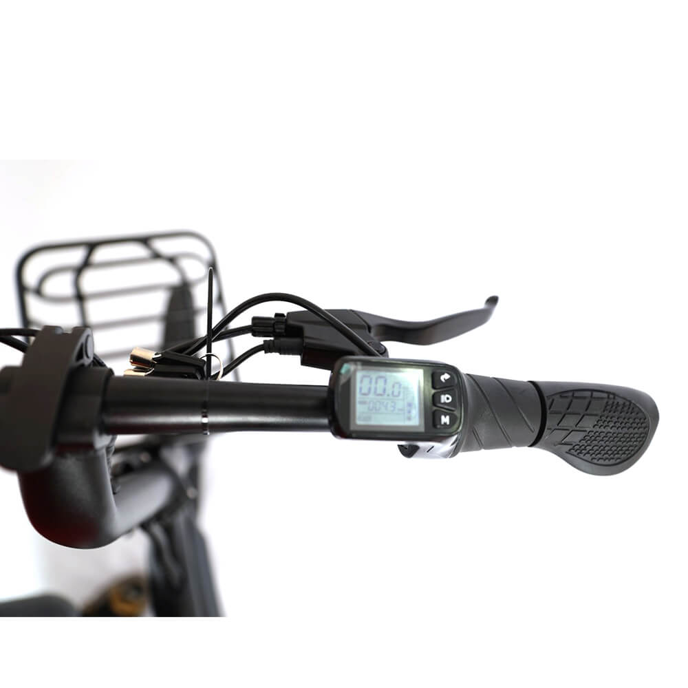 DYU D20 36V/10Ah 240W Folding Electric Bike