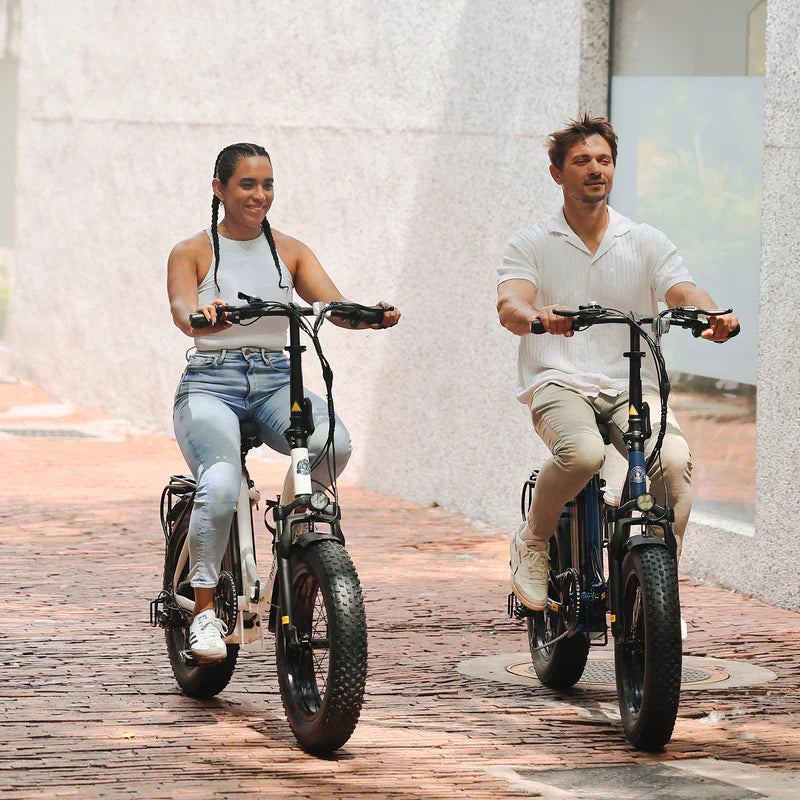 Hiboy EX6F 48V/14.5Ah 500W Electric Bike