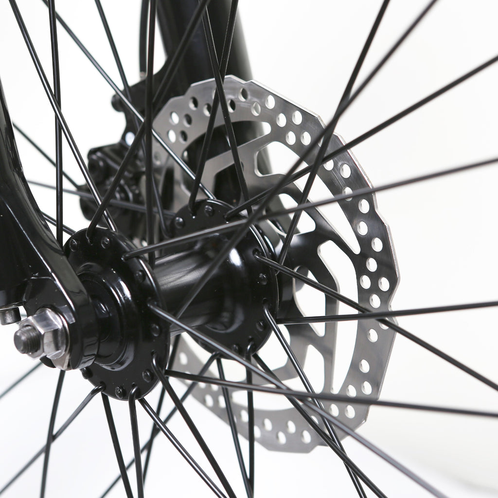 NAKTO Santa Monica 48V/10Ah 750W Fat Tire Electric Bike