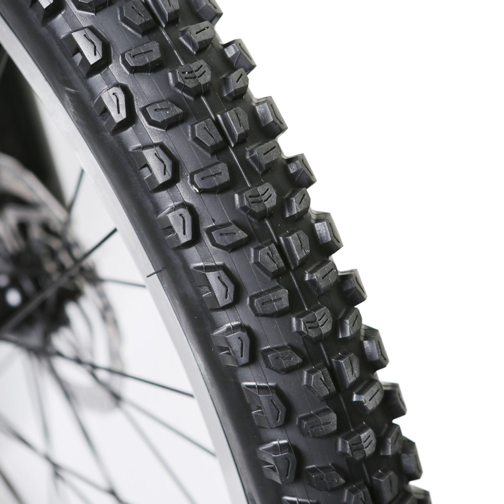 NAKTO Santa Monica 48V/10Ah 750W Fat Tire Electric Bike