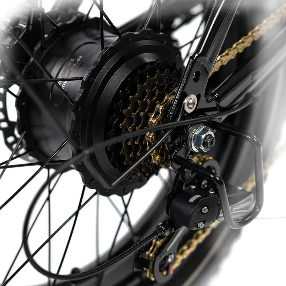 HappyRun G70 Pro 48V/33Ah 5000W Electric Cargo Bike
