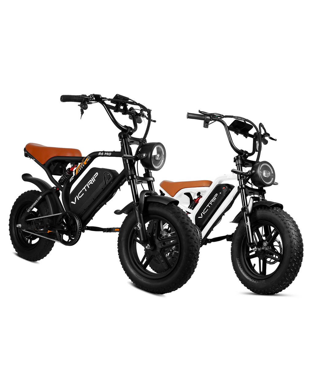 VICTRIP® Ebike Combo Sale R6pro+R6