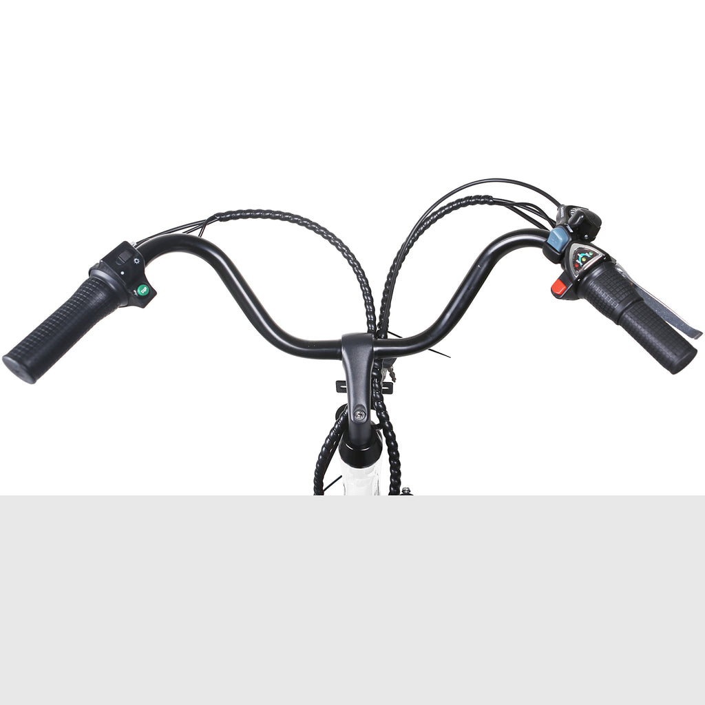 NAKTO City Stroller 36V/12Ah 600W Electric Bike