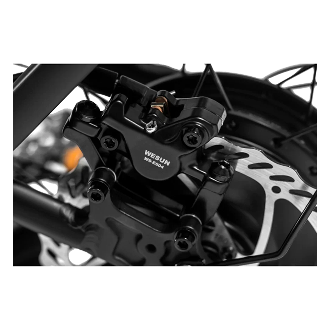 REVI Runabout.2 52V/15Ah 750W Electric Bike