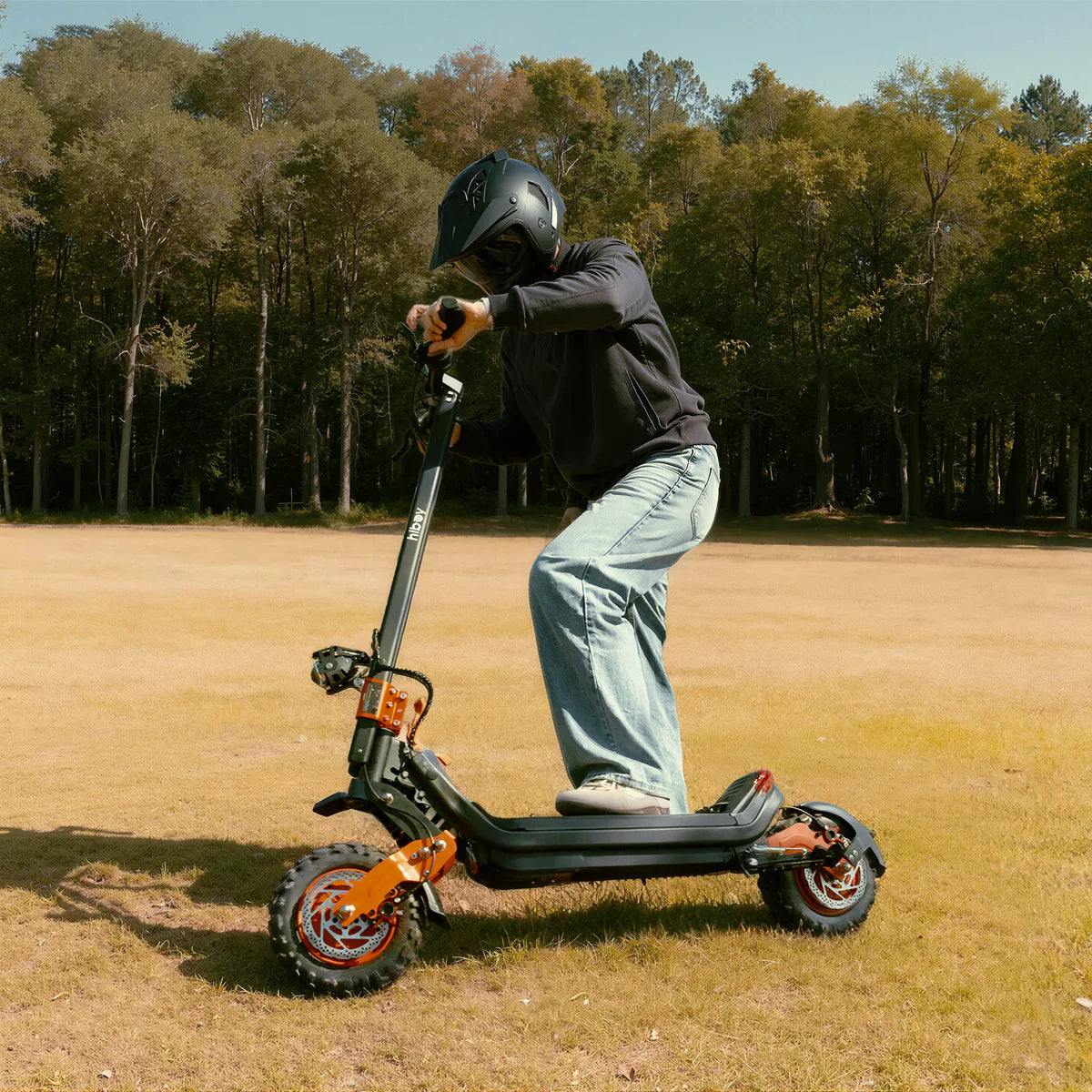 Hiboy DM1 48V/15.3Ah 1200W Off-Road Electric Scooter