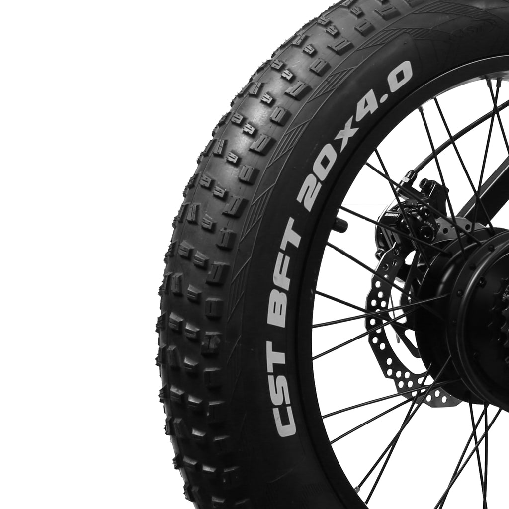 NAKTO Discovery 48V/10Ah 350W Fat Tire Electric Bike