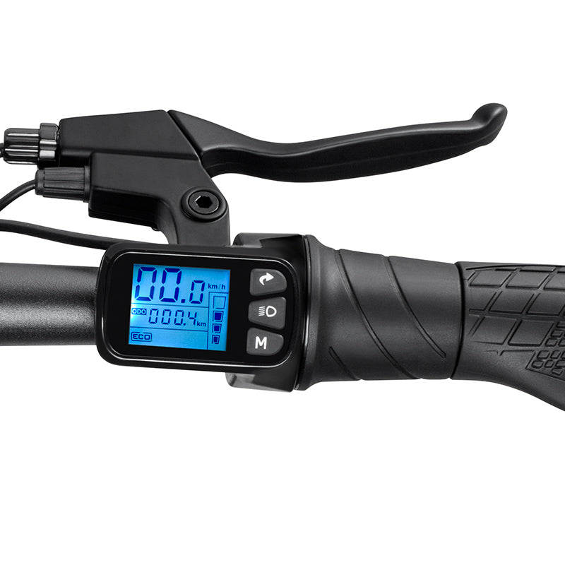 DYU D3+ 36V/10Ah 250W Electric Mini Bike