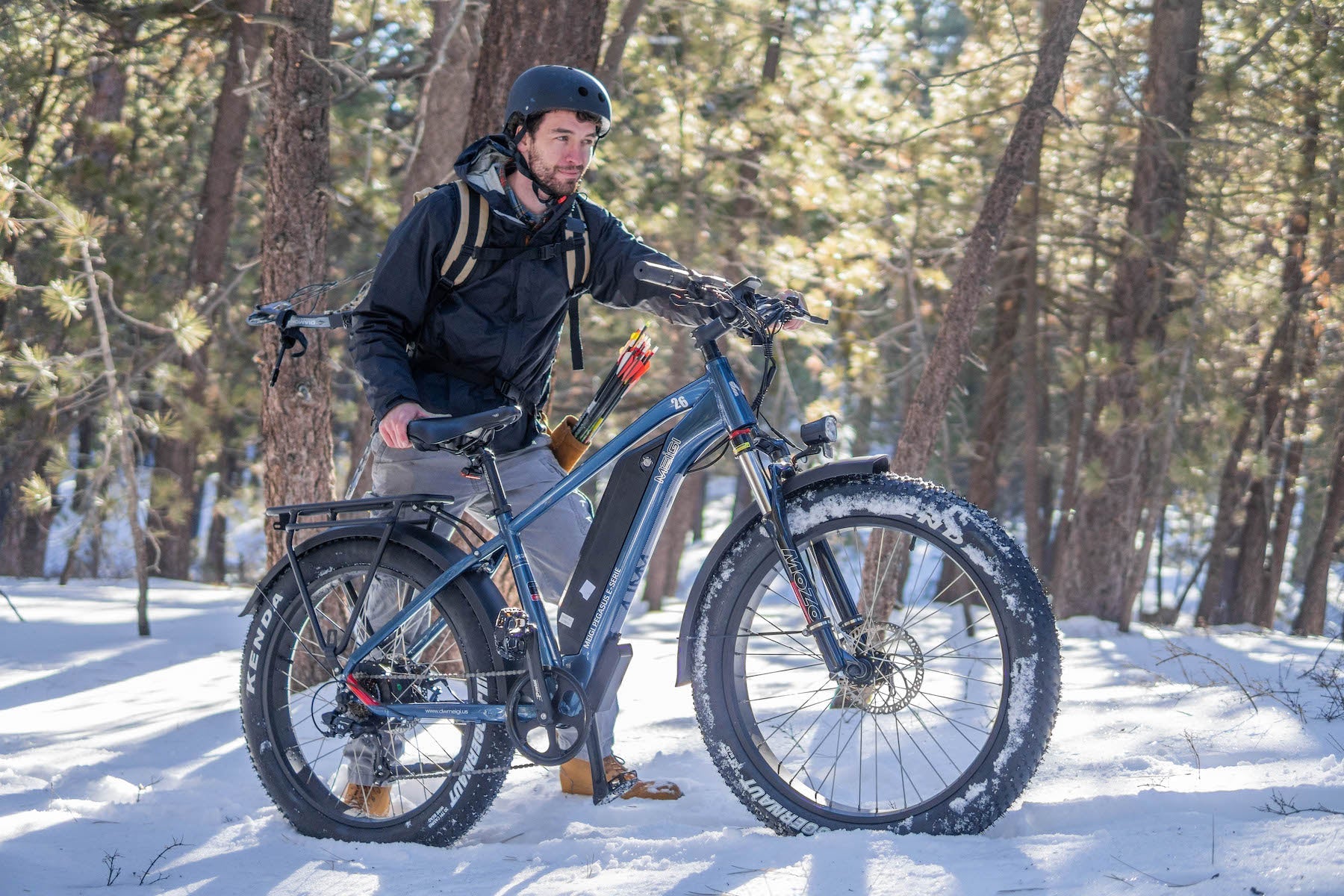 DWMEIGI Pegasus 48V/16Ah 750W Fat Tire Electric Bike