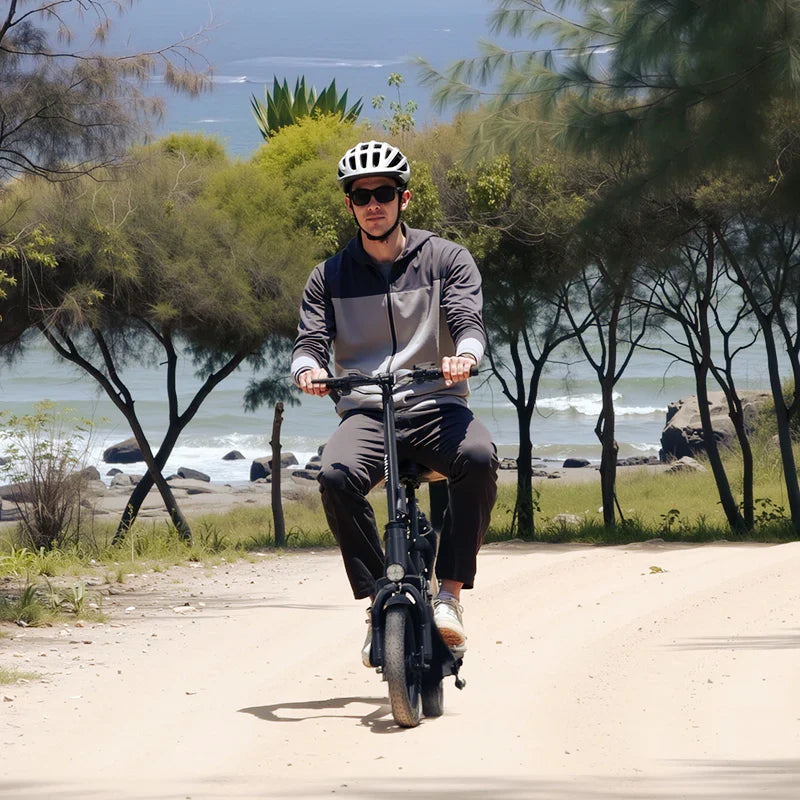 Hiboy Q2 36V/9Ah 422W Electric Scooter