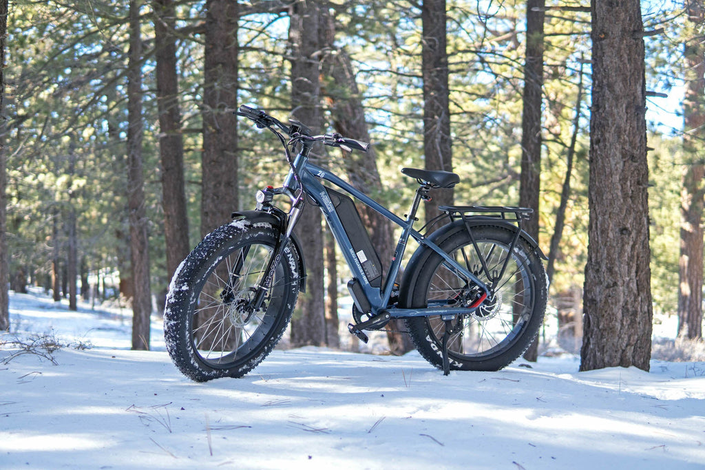 DWMEIGI Pegasus 48V/16Ah 750W Fat Tire Electric Bike