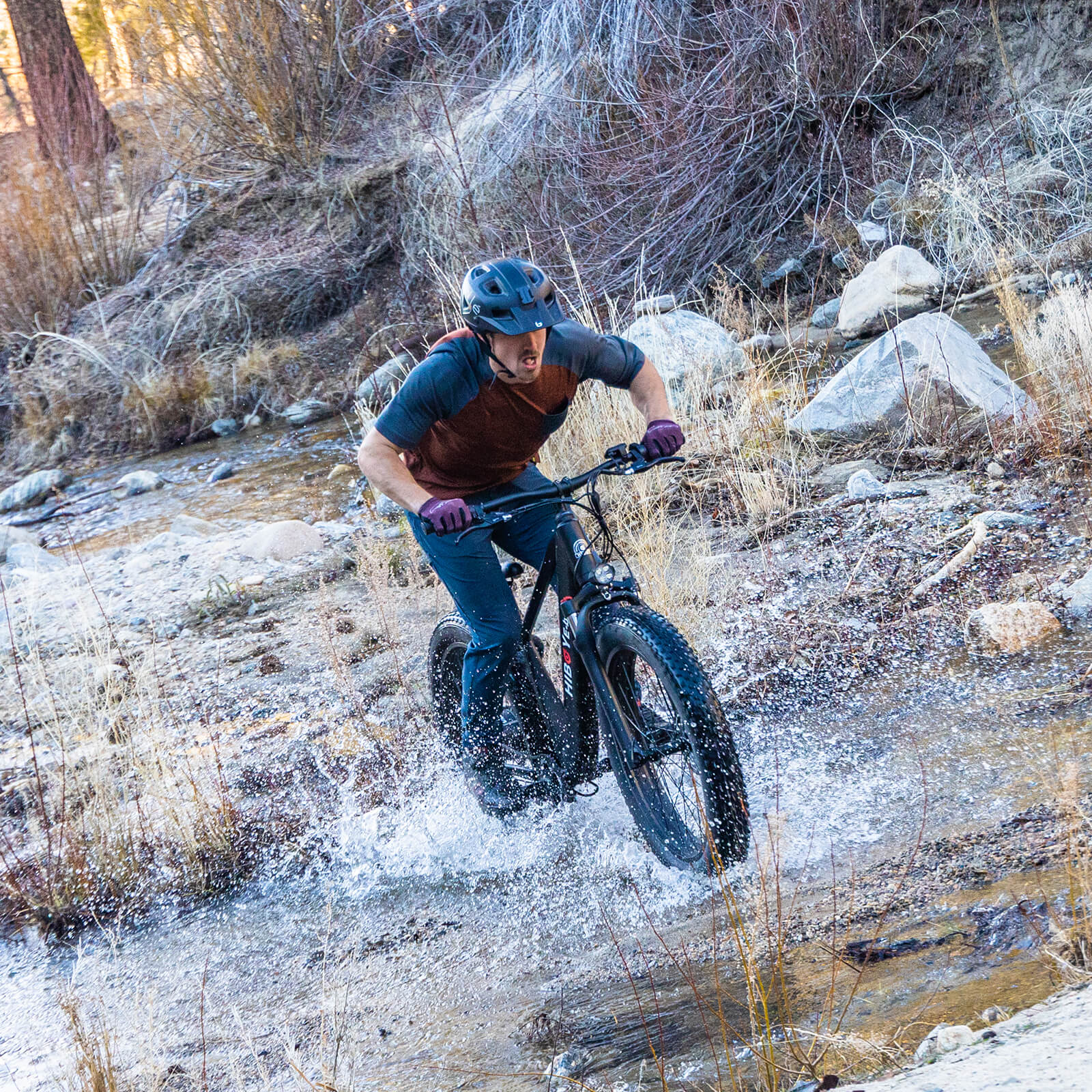 Hiboy P6 48V/11.6Ah 750W Fat Tire Electric Bike