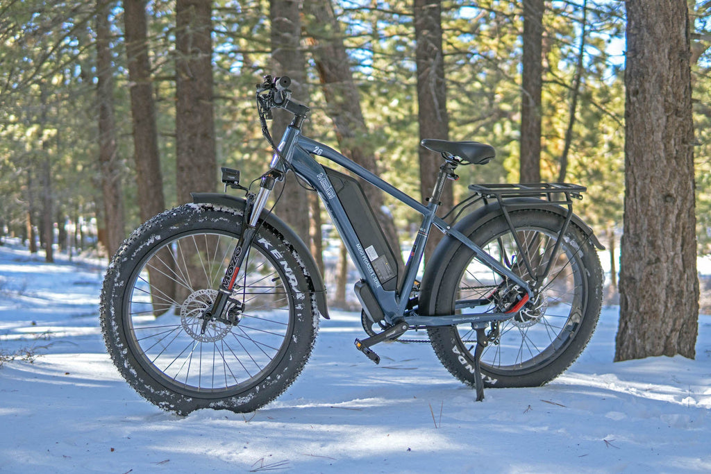 DWMEIGI Pegasus 48V/16Ah 750W Fat Tire Electric Bike