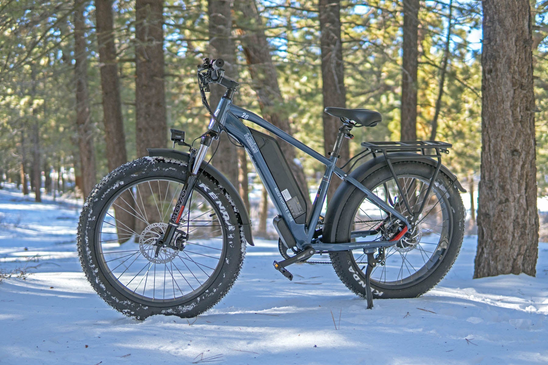 DWMEIGI Pegasus 48V/16Ah 750W Fat Tire Electric Bike