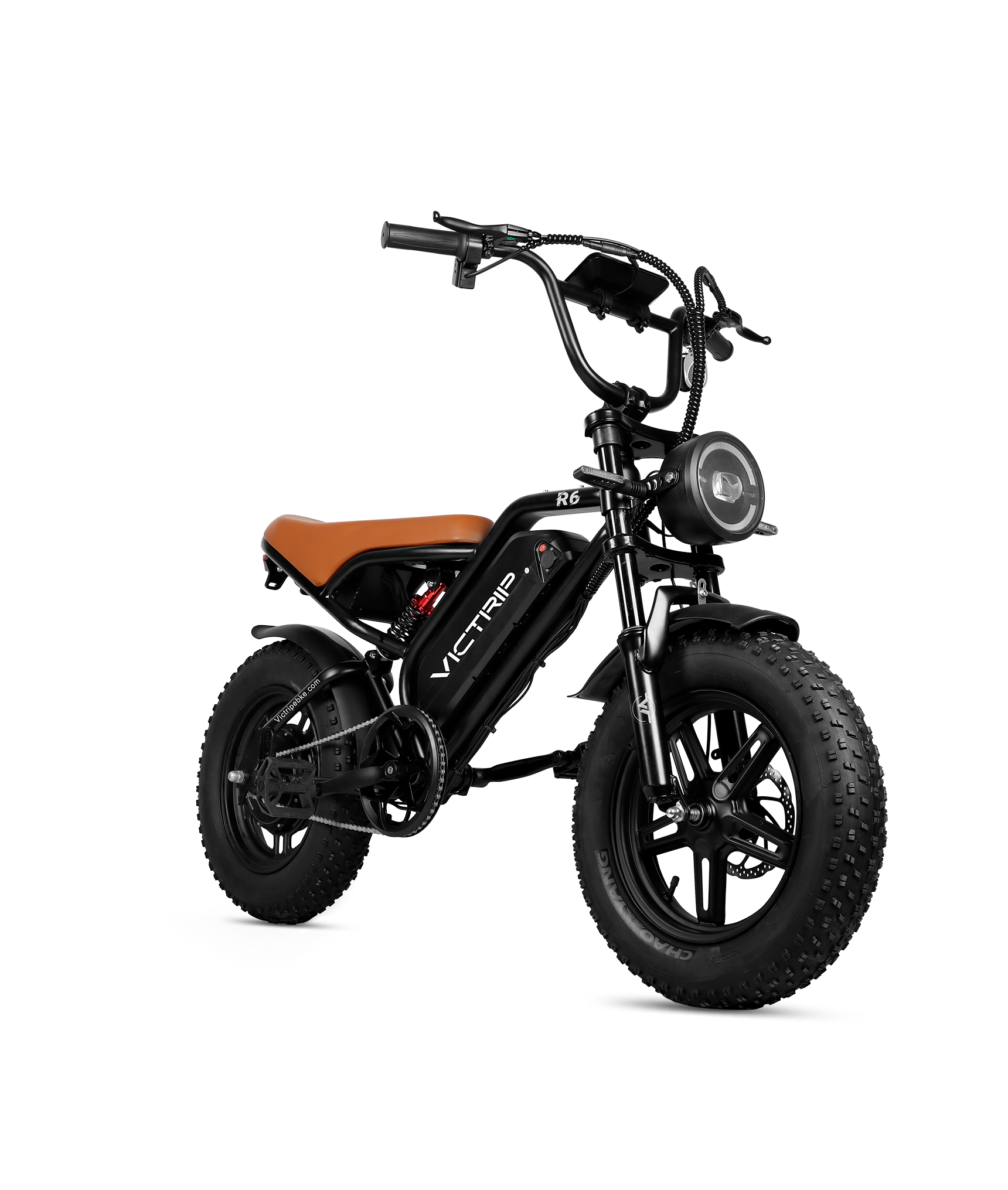 VICTRIP®R6 Off Road Ebike