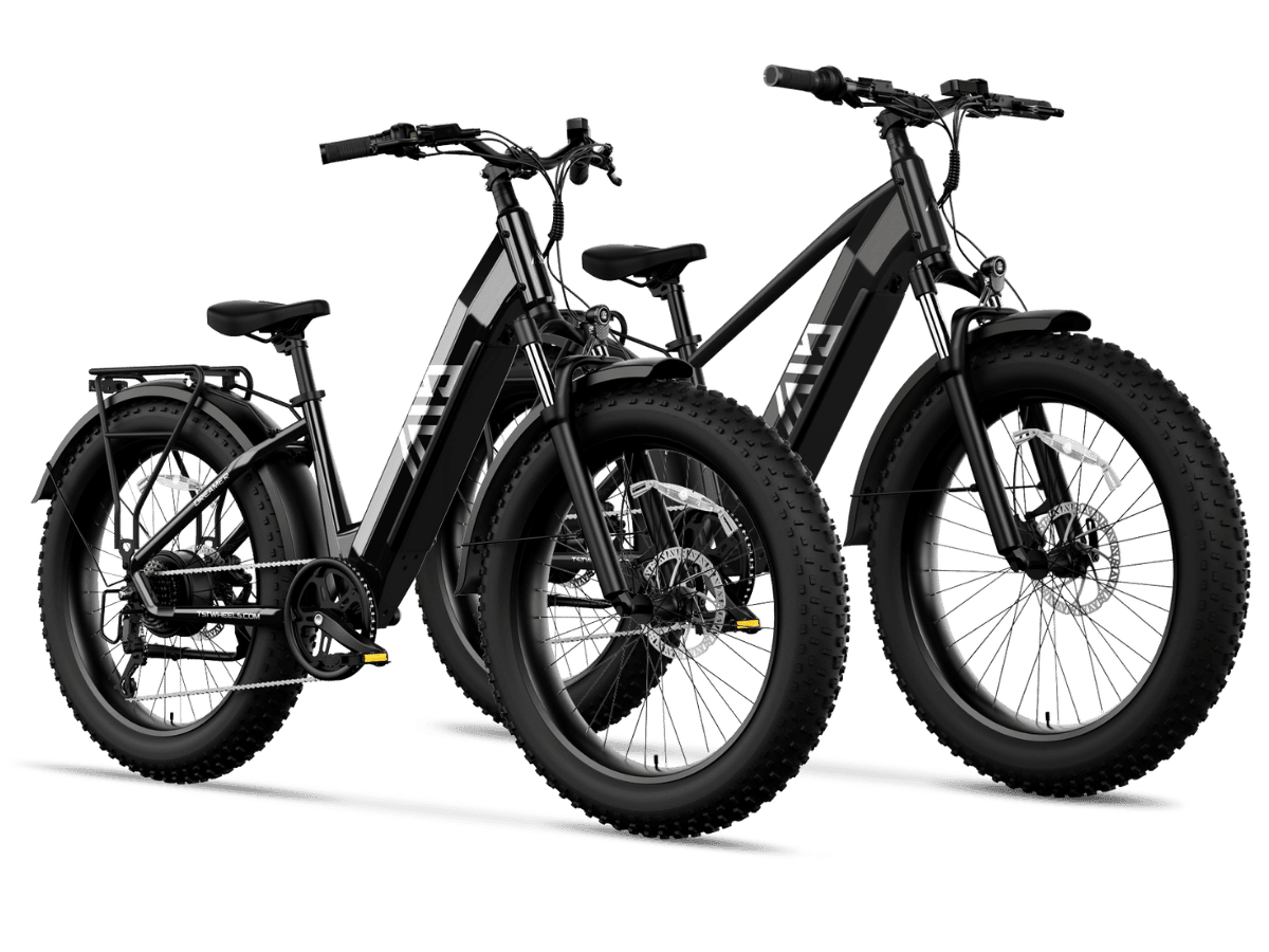 TST® Combo Sale Defender+Dreamer 26" Fat Tire Ebike For Adult