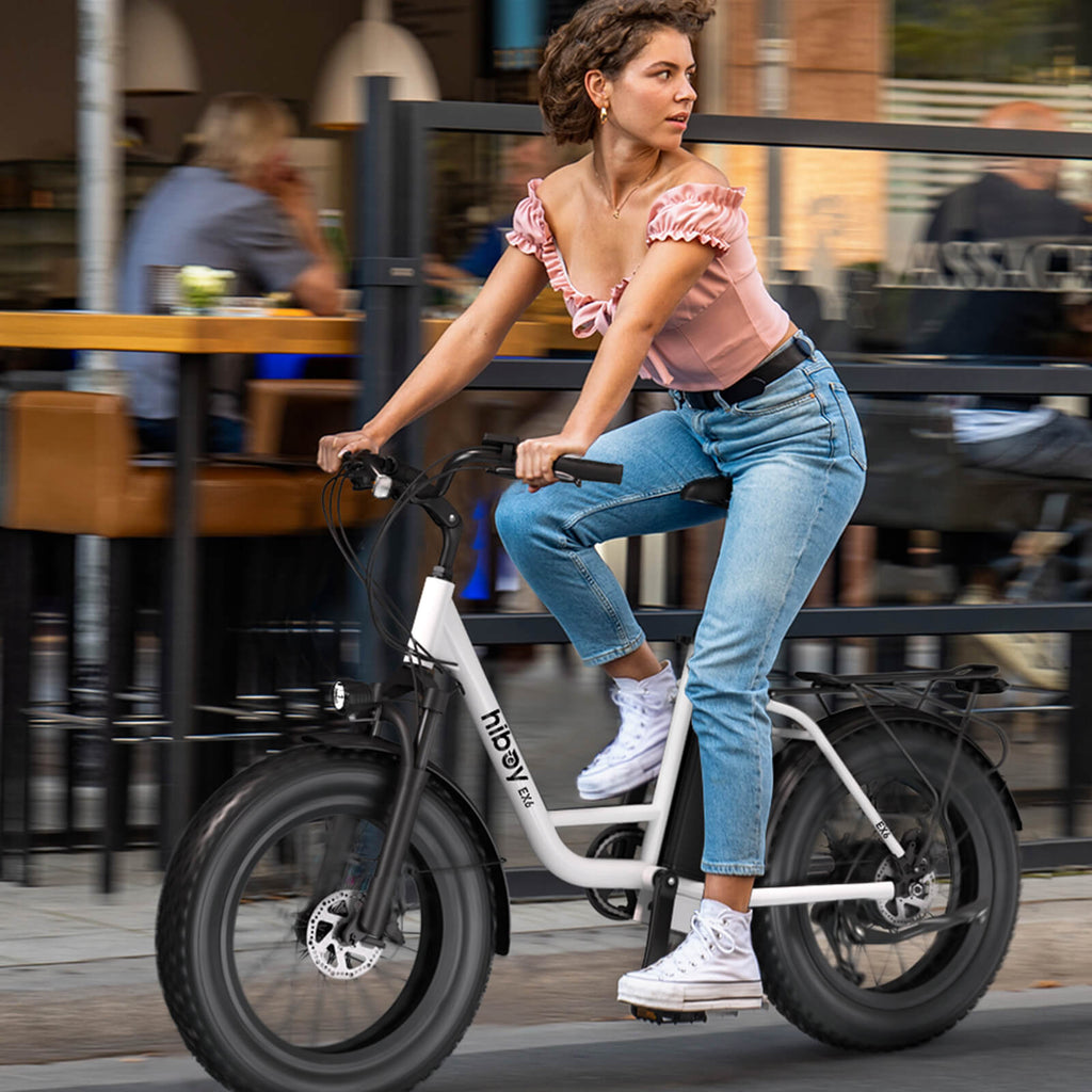 Hiboy EX6 48V/15Ah 500W Fat Tire Electric Bike