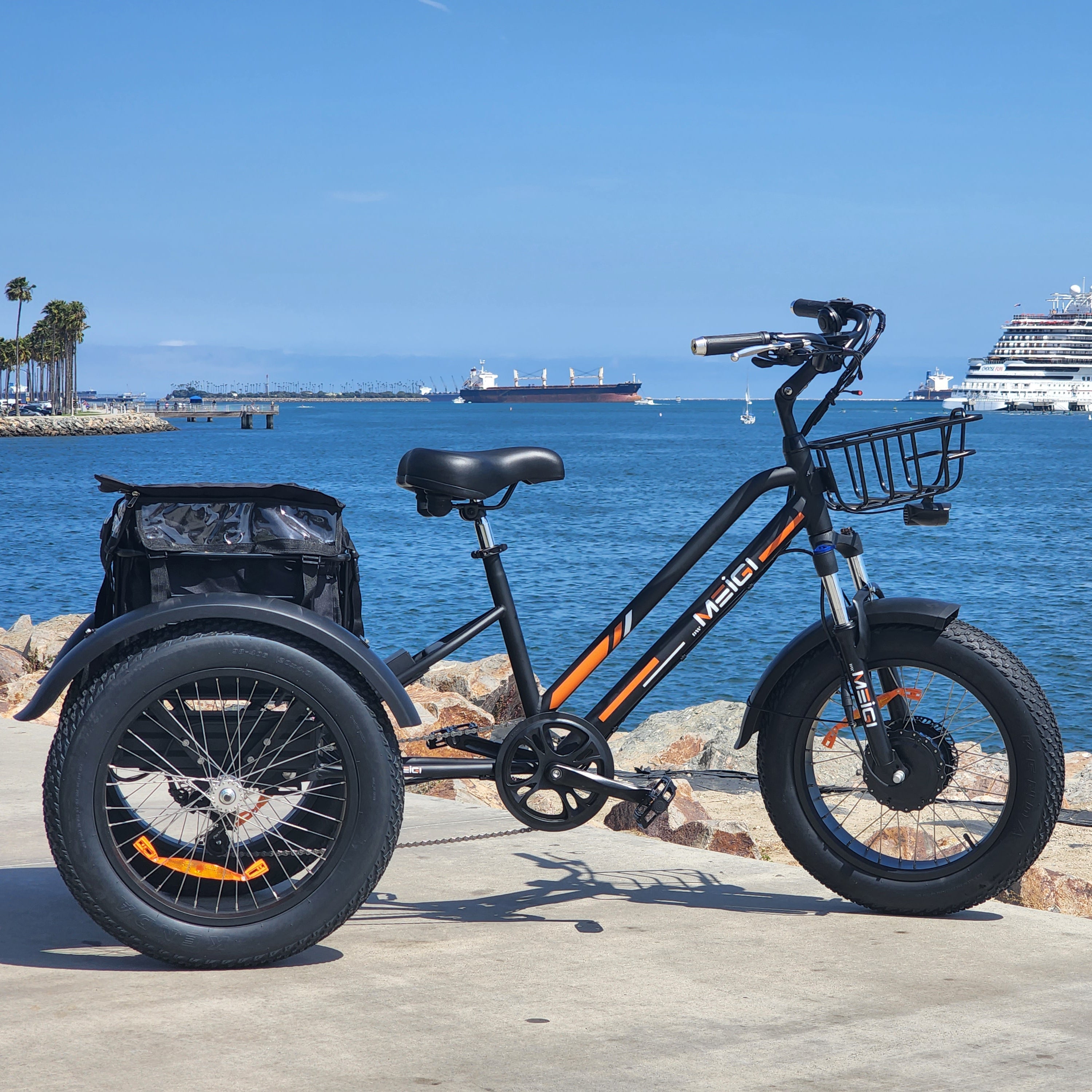 DWMEIGI Zeus MG1703 48V/18.2Ah 750W Electric Trike