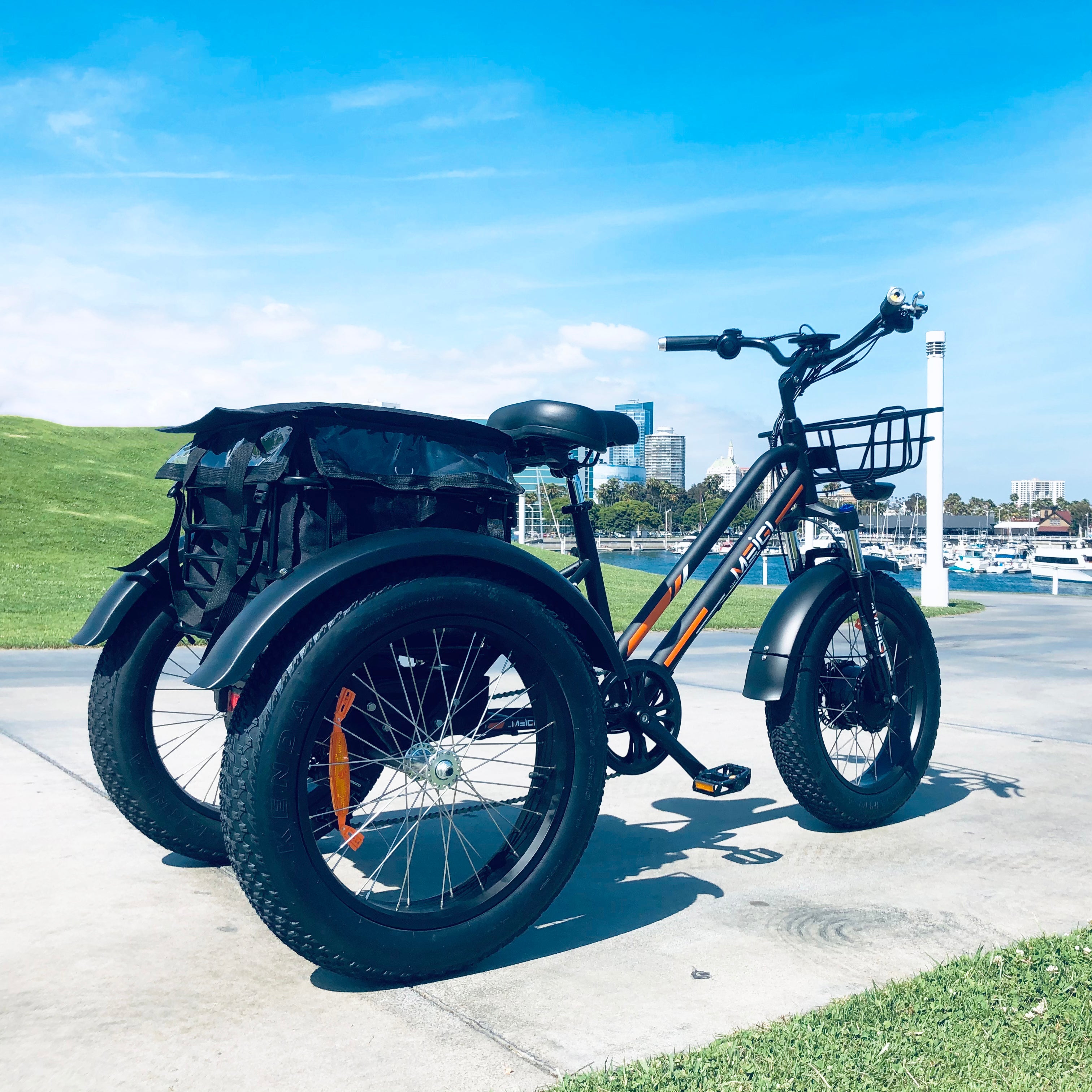 DWMEIGI Zeus MG1703 48V/18.2Ah 750W Electric Trike