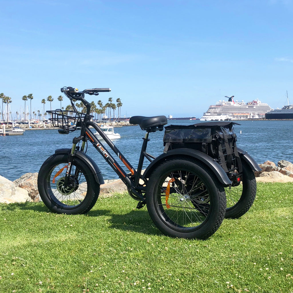 DWMEIGI Zeus MG1703 48V/18.2Ah 750W Electric Trike