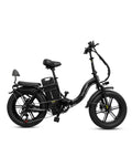 VICTRIP® TITAN S 1000W Long Range Ebike