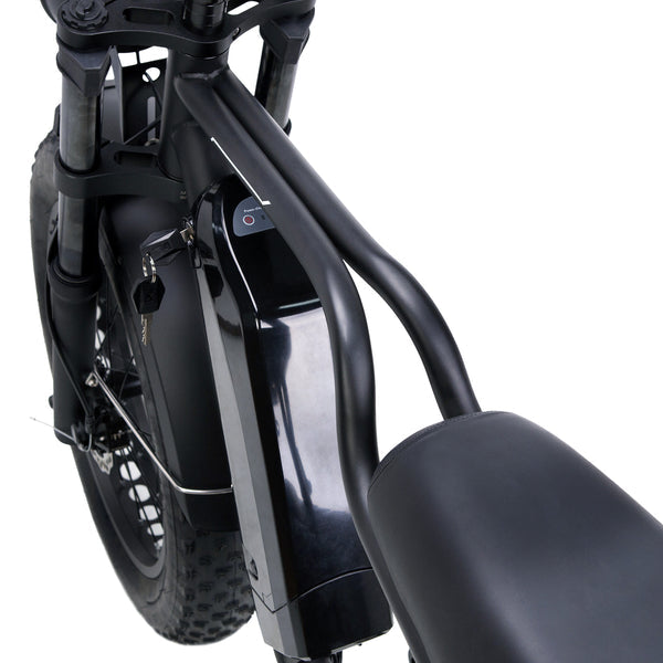 NAKTO F2 48V/16Ah 500W/750W Fat Tire Electric Bike