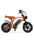 VICTRIP ®R6 Pro Off Road Electric Bike Moped