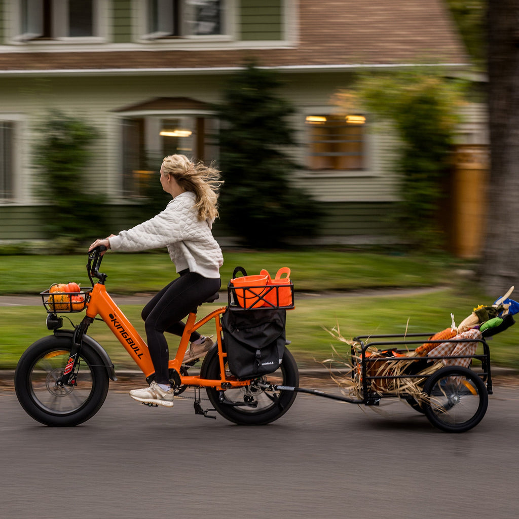 Kingbull Voyager 2.0 | Fat Tire Electric Cargo Bike