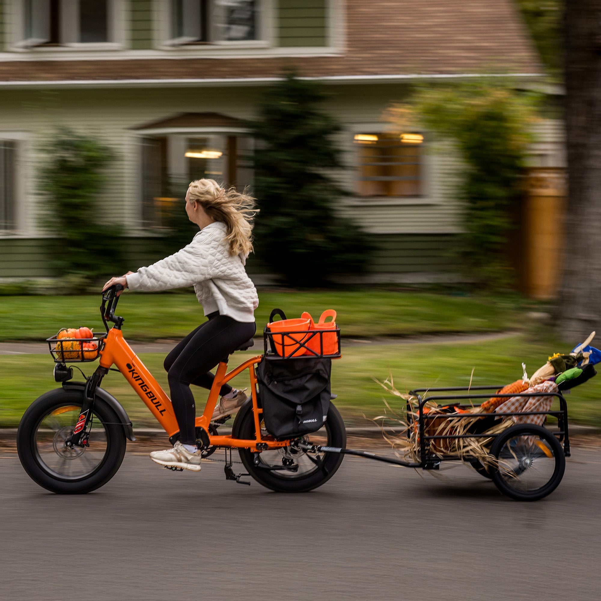 Kingbull Voyager 2.0 | Fat Tire Electric Cargo Bike