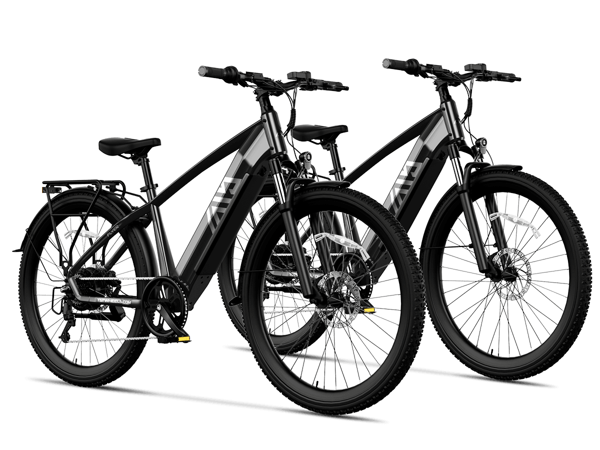 TST® Combo Sale Flyer 27.5" Commuter Convenience EBike