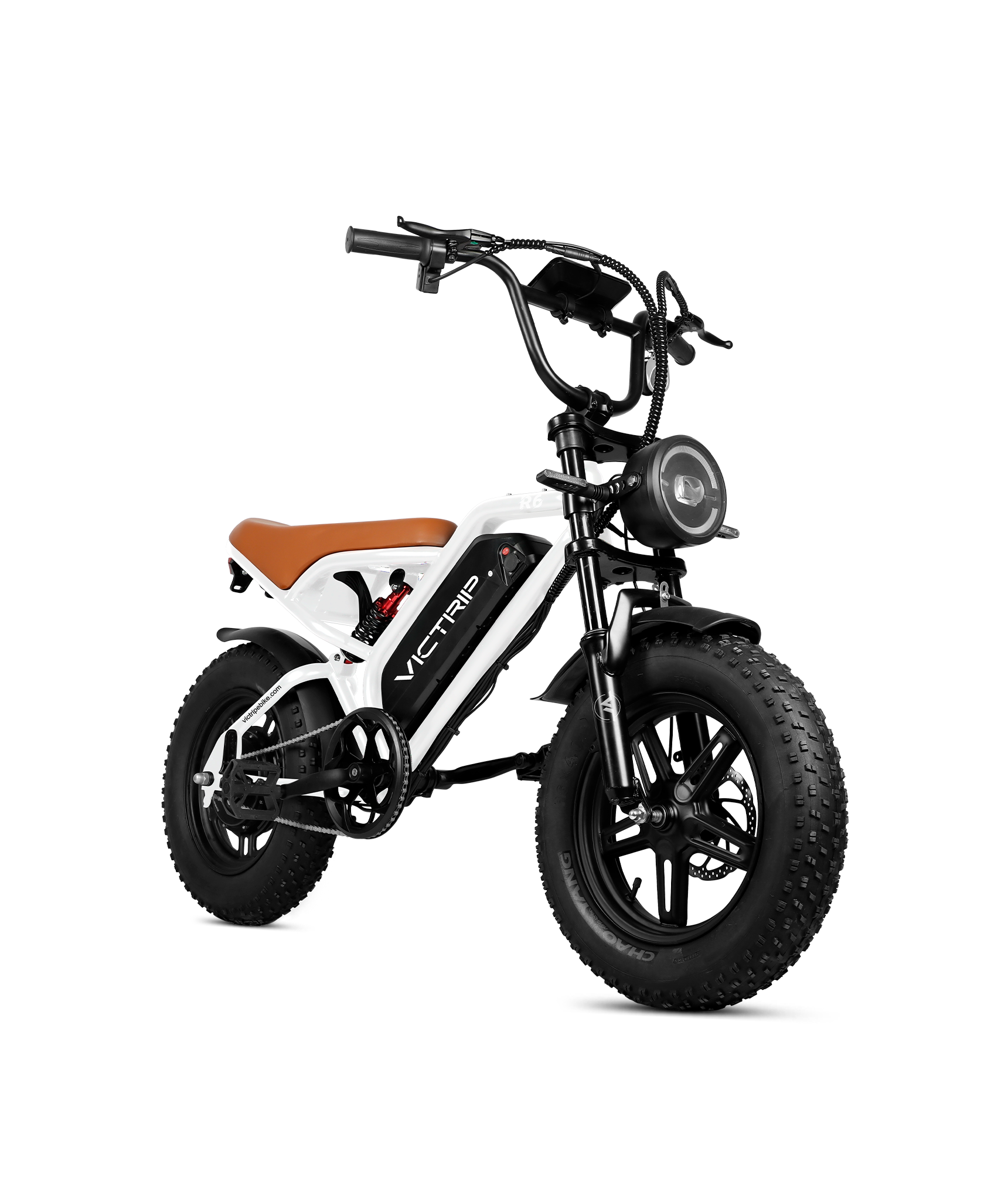 VICTRIP®R6 Off Road Ebike