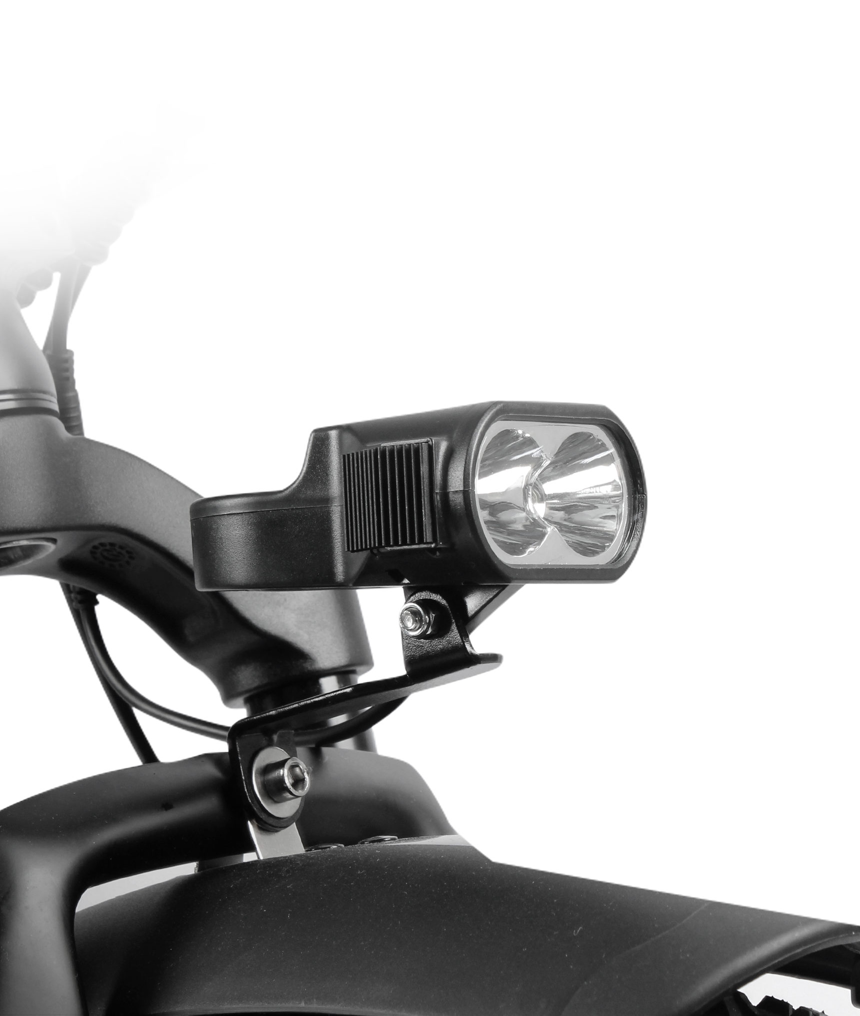 VICTRIP® TITAN S 1000W Long Range Ebike