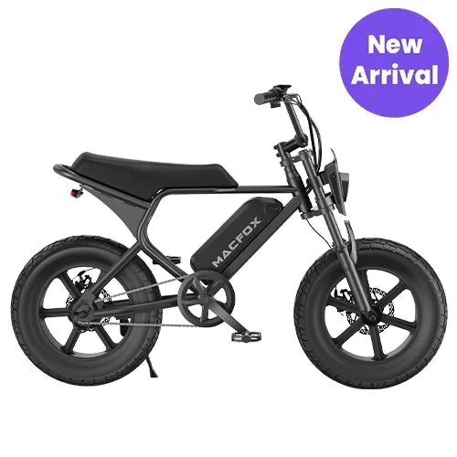 Sparkwheels E-bike M16