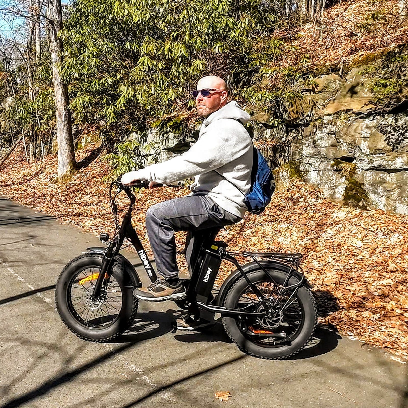Hiboy EX6 48V/15Ah 500W Fat Tire Electric Bike