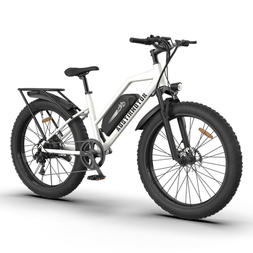AOSTIRMOTOR S07-G 48V/13Ah 750W Fat Tire Electric Bike