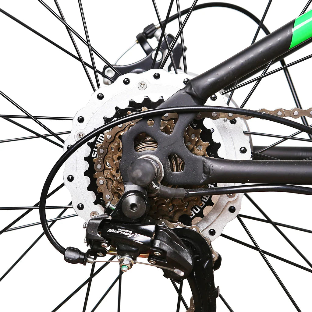 NAKTO Super Cruiser 48V/12Ah 750W Electric Bike