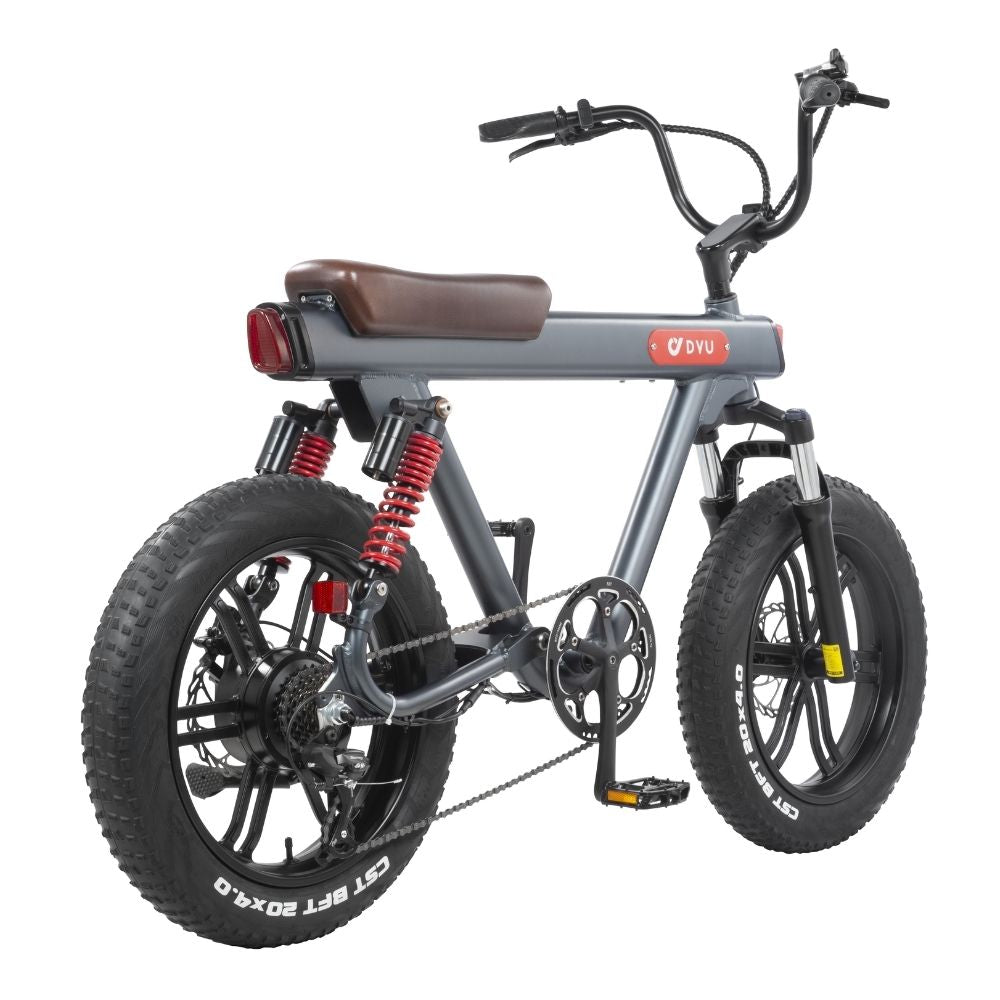 DYU V8 48V/15.5Ah 750W Electric Bike