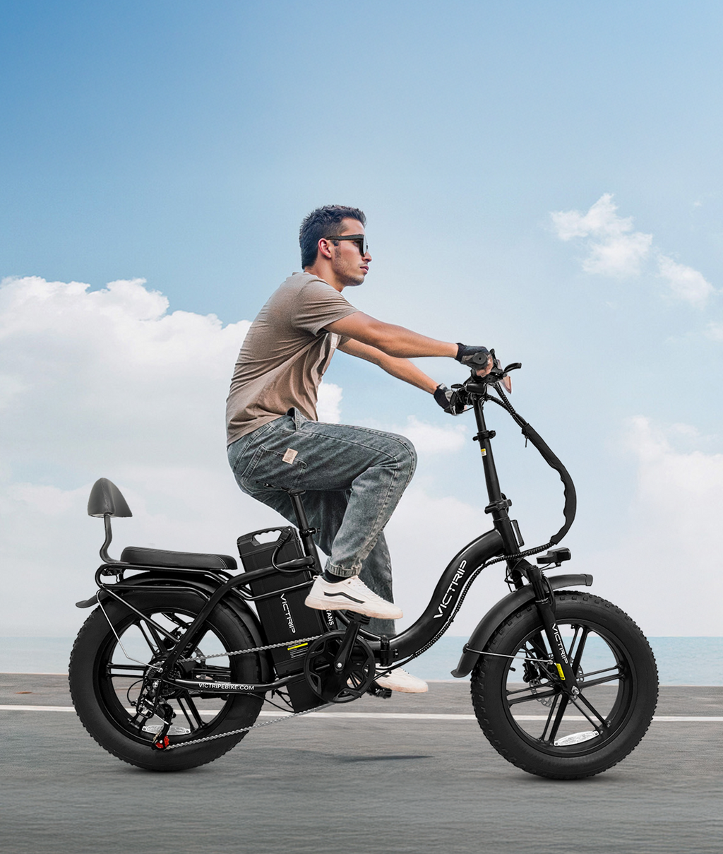 VICTRIP® TITAN S 1000W Long Range Ebike