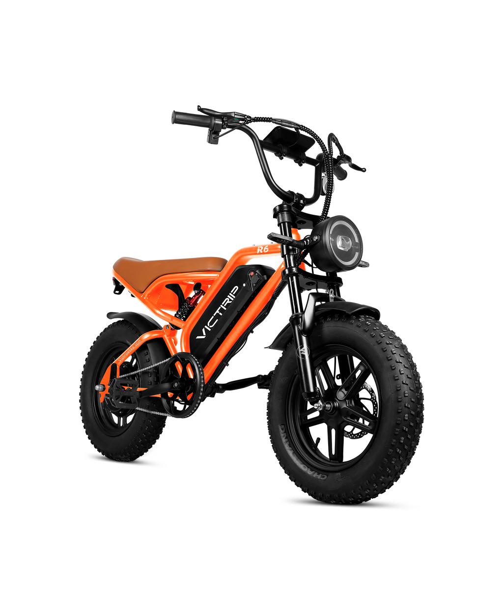 VICTRIP®R6 Off Road Ebike