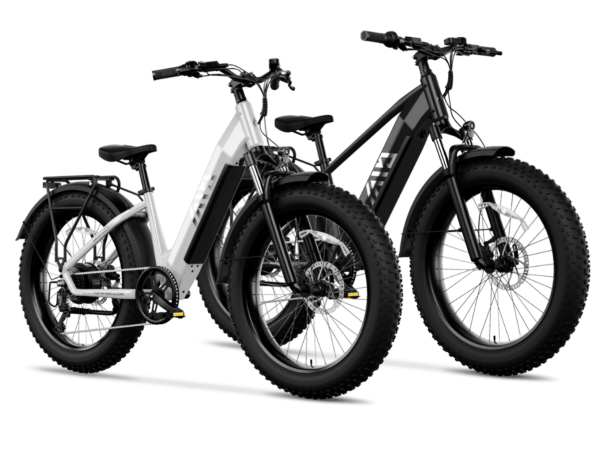 TST® Combo Sale Defender+Dreamer 26" Fat Tire Ebike For Adult