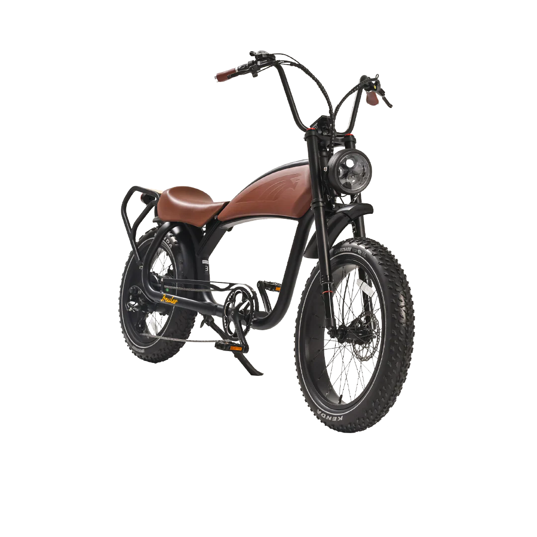 REVI Prowler 52V/20Ah 1000W Electric Bike