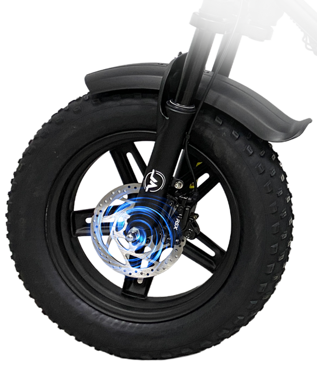 VICTRIP® Ebike Combo Pack (R6pro+R6)