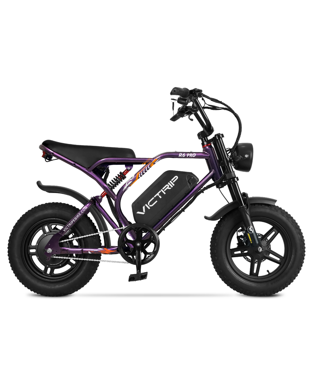 VICTRIP®R6 Pro - 1500W Full Suspension Moped Style EBike
