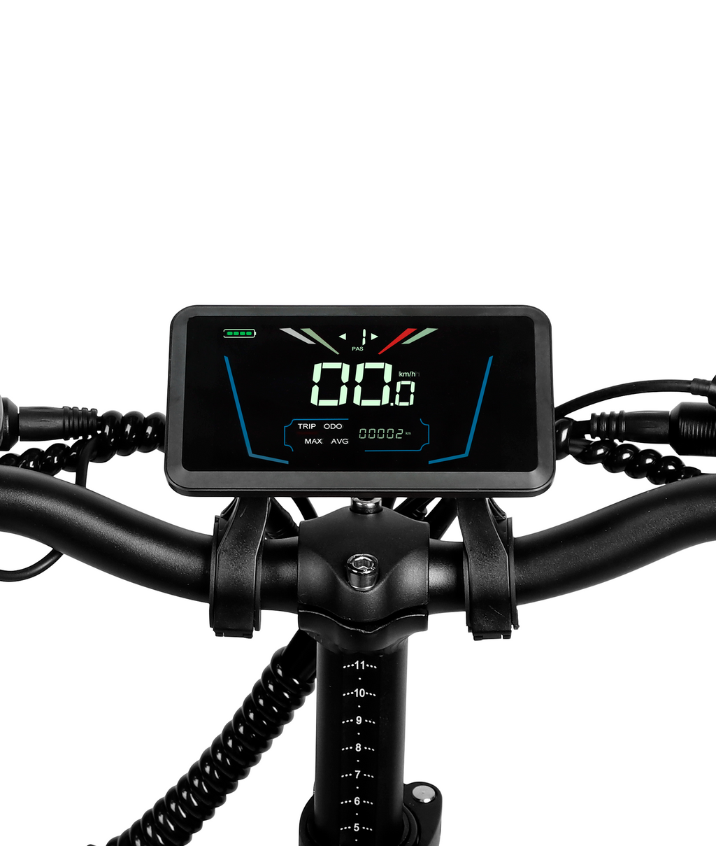 VICTRIP® R5 Foldable Electric Bike