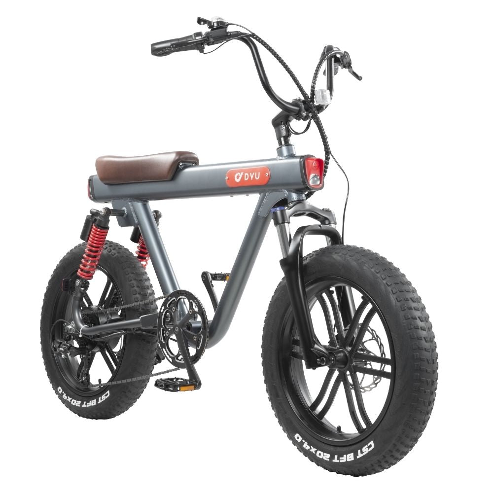 DYU V8 48V/15.5Ah 750W Electric Bike