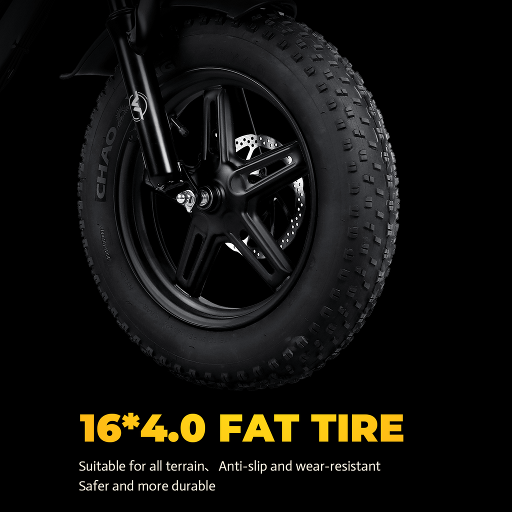 VICTRIP®R6 Off Road Ebike